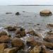 View the image: Rocky shore