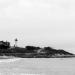 View the image: Nobska point in black and white