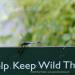View the image: Keeping it wild