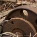 View the image: Old pumphouse wheel
